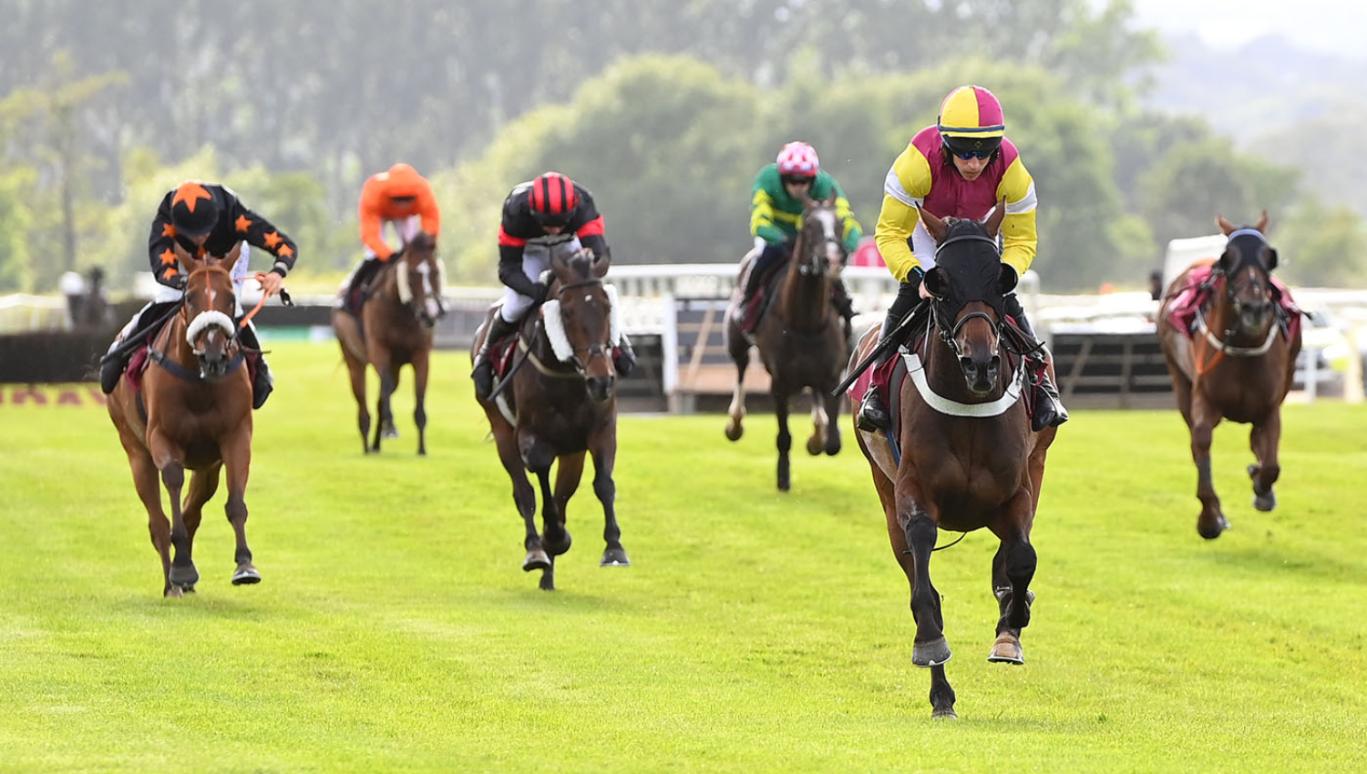 Clwyd Special Riding Centre Charity Raceday 2024 Copy thumbnail image