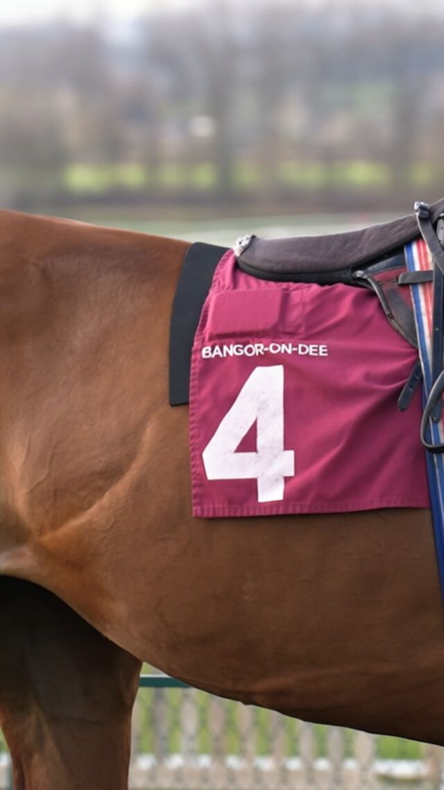 Thank you for joining us for Spring Into Racing Day!🌷☀️

We loved welcoming you all and we can’t wait to see you back for Premier Hurdle Day on Saturday, 22nd March.🏇

But that’s not all…👀

Don’t miss the Joint Sir W.W.Wynn & Flint & Denbigh Point to Point on 9th March. Enjoy a fun-filled spring day with trade stands, delicious refreshments, or bring your own picnic!🧺

Dogs are welcome too (on leads, of course)🐶

Get ready for the NEW Mascot Race at 2:00 PM, followed by the exciting Amateur Race at 4:40 PM 🏇.

🎟️ £20 Admission | Under 16s Go Free.

Mark your calendars – see you at Bangor-on-Dee!📺✨