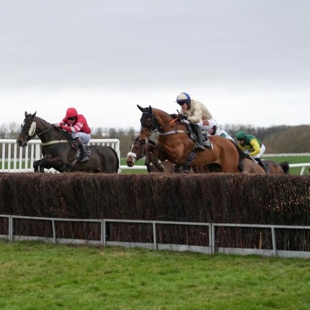 Get ready for an exciting day at the Joint Sir W.W.Wynn & Flint & Denbigh Point to Point this Sunday, 9th March! 🏇

📍Pay on the gate: £20 per person or £60 per car.

First race kicks off at 1 PM and the last race is at 4:10 PM!

Mascot race - 2 PM🤩

- Race 1: Bumper - 2 miles
- Race 2: Maiden - 3 miles
- Race 3: Open - 3 miles
- Race 4: Conditions Level 2 - 2m4
- Race 5: Conditions Level 3 - 3 miles
- Race 6: Restricted - 3 miles
- Race 7: Charity Race - 1 mile

But that’s not all…👀 Enjoy lots of trade stands, delicious refreshments, or bring your own picnic! 🧺 Dogs are welcome too (on leads, of course) 🐶

🎟️ Under 16s go free! 

Mark your calendars – see you there. ✨

@itsryanday 📸